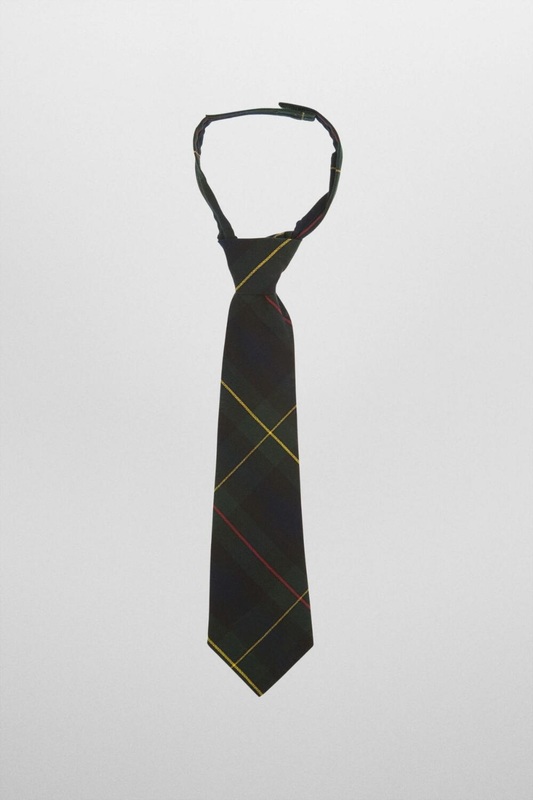 Green plaid tie 